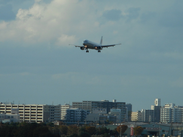 飛行機