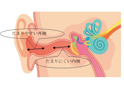 耳あかそうじの方法（やり方・仕方）