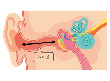外耳炎の画像